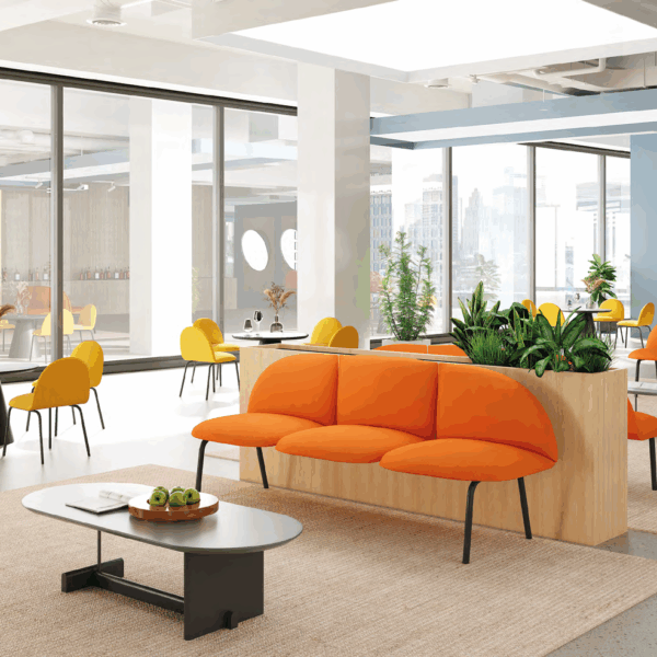 Business professional reviewing furniture blueprints with a supplier